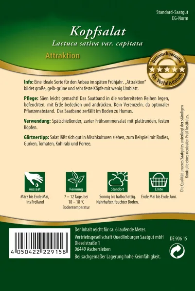Quedlinburger Kopfsalat Attraktion Satband - Premium Gemüsesamen