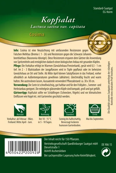 Quedlinburger Kopfsalat Cosima - Premium Gemüsesamen