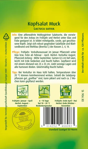 Quedlinburger Kopfsalat Mona - Gemüsesamen