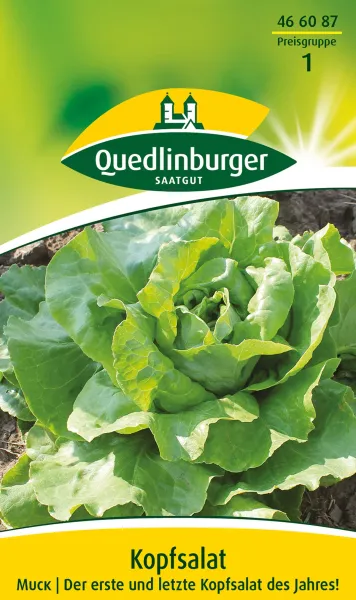 Quedlinburger Kopfsalat Muck - Gemüsesamen