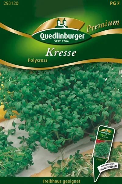 Quedlinburger Kresse Polycress - Kräutersamen