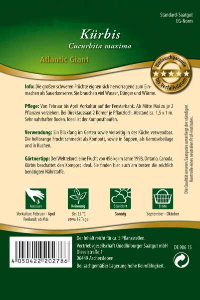 Quedlinburger Kürbis Atlantic Giant - Gemüsesamen