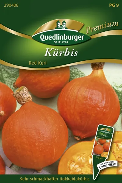 Quedlinburger Kürbis Red Kuri - Gemüsesamen