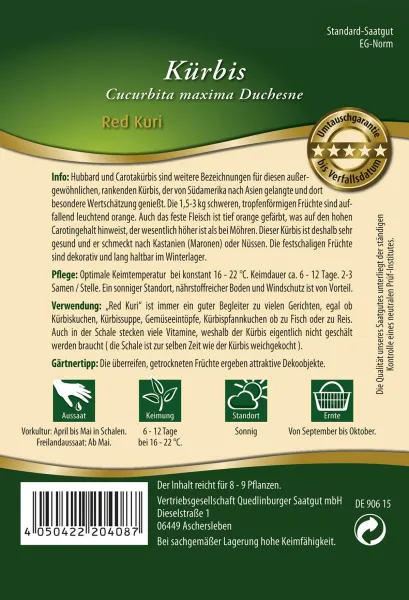 Quedlinburger Kürbis Red Kuri - Gemüsesamen