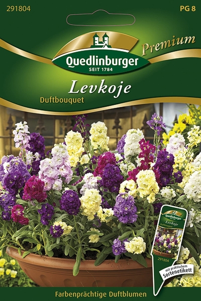 Quedlinburger Levkoje Duftbouquet - Blumensamen