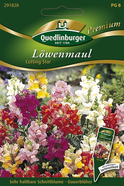 Quedlinburger Löwenmaul Cutting Star - Blumensamen