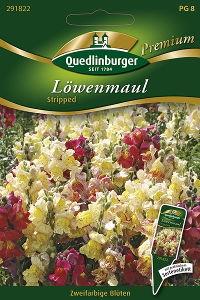 Quedlinburger Löwenmaul Stripped - Blumensamen