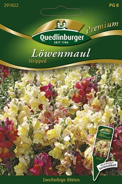Quedlinburger Löwenmaul Stripped - Blumensamen