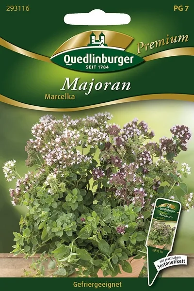 Quedlinburger Majoran Marcelka - Kräutersamen