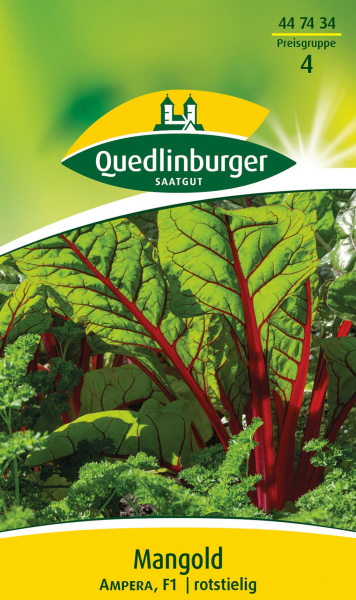 Quedlinburger Mangold Ampera  - Gemüsesamen