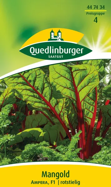 Quedlinburger Mangold Ampera - Gemüsesamen