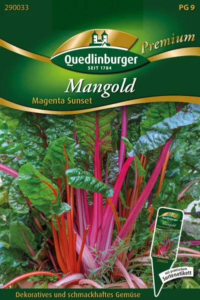 Quedlinburger Mangold Magenta Sunset - Gemüsesamen