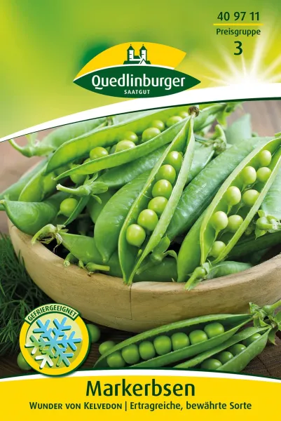 Quedlinburger Markerbsen Wunder von Kelvedon - Gemüsesamen