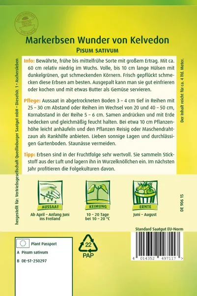 Quedlinburger Markerbsen Wunder von Kelvedon - Gemüsesamen