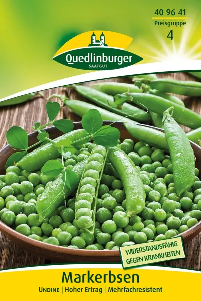 Quedlinburger Markerbsen Undine - Gemüsesamen