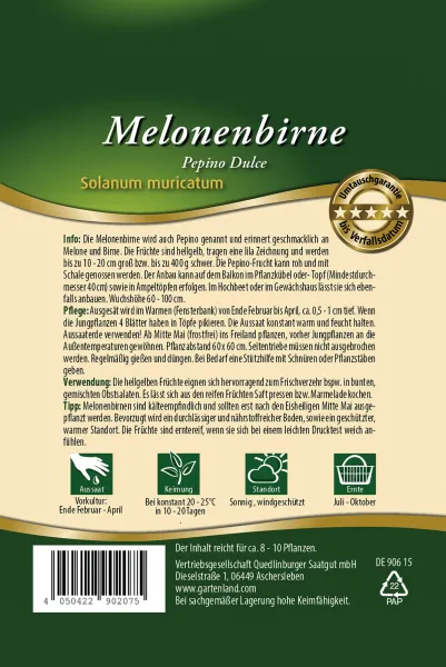 Quedlinburger Melonenbirne Pepino Dulce - Gemüsesamen