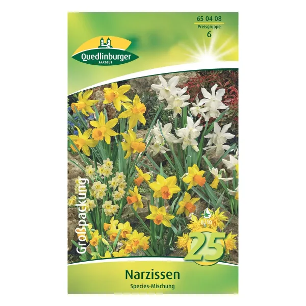 Quedlinburger Narzissen Species-Mischung, 25 Zwiebeln, Größe 8/10