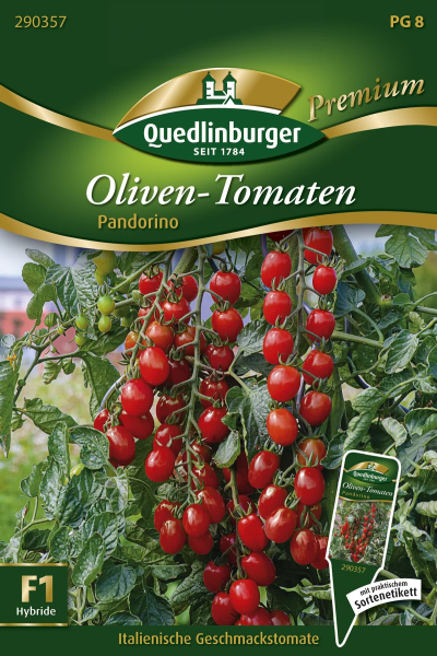 Quedlinburger Oliven-Tomaten Pandorino - Gemüsesamen