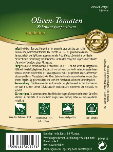 Quedlinburger Oliven-Tomaten Pandorino - Gemüsesamen