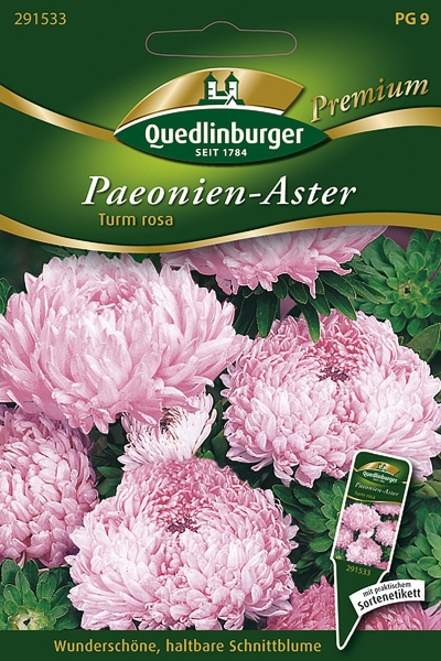 Quedlinburger Paeonien-Aster Turm rosa - Premium Blumensamen