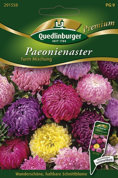 Quedlinburger Paeonienaster Turm Mischung - Premium Blumensamen