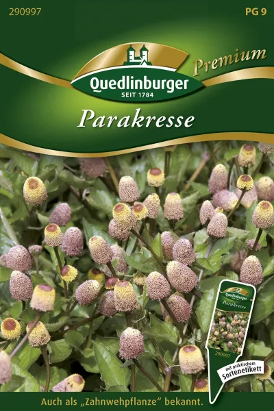 Quedlinburger Parakresse - Kräutersamen