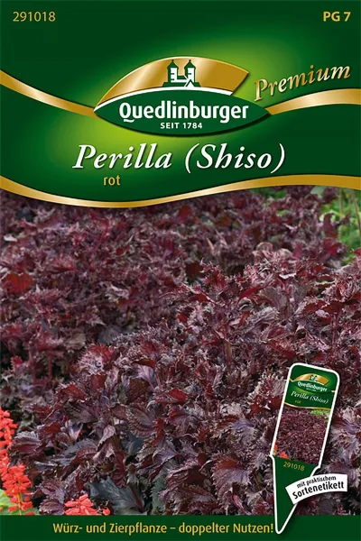 Quedlinburger Perilla Shiso rot - Premium Kräutersamen Quedlinburger Perilla Shiso rot - Premium Kräutersamen