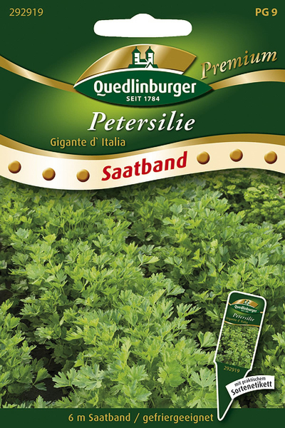 Quedlinburger Petersilie Gigante d' Italia Saatband 6 Meter - Kräutersamen