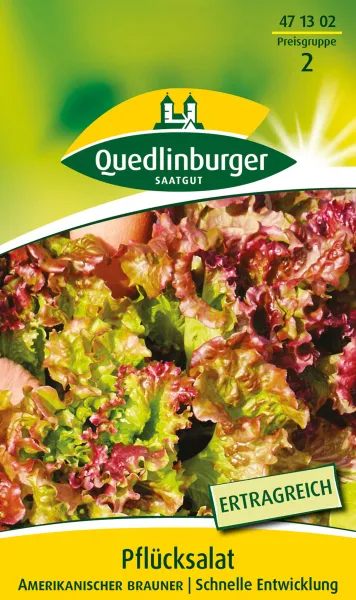 Quedlinburger Pflücksalat Amerikanischer brauner - Gemüsesamen Quedlinburger Pflücksalat Amerikanischer brauner - Gemüsesamen