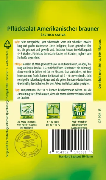 Quedlinburger Pflücksalat Amerikanischer brauner - Gemüsesamen