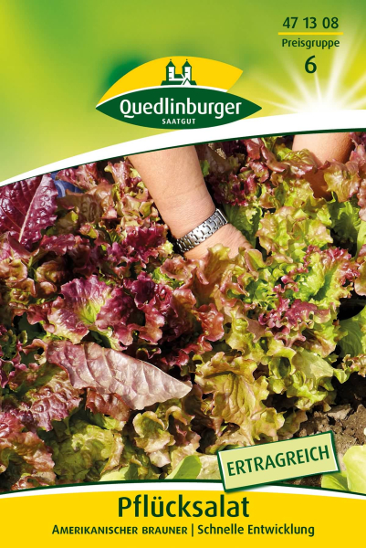 Quedlinburger Pflücksalat Amerikanischer brauner Großpackung 30 Gramm - Gemüsesamen