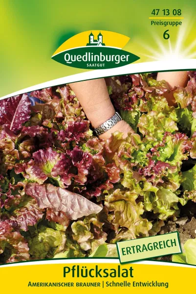 Quedlinburger Pflücksalat Amerikanischer brauner Großpackung 30 Gramm - Gemüsesamen