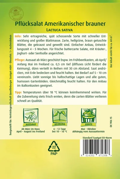 Quedlinburger Pflücksalat Amerikanischer brauner Großpackung 30 Gramm - Gemüsesamen