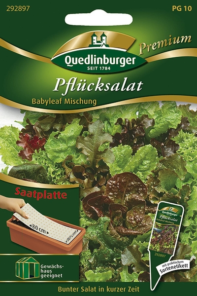 Quedlinburger Pflücksalat Babyleaf Mischung Saatplatte - Premium Gemüsesamen