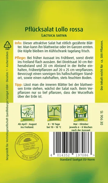 Quedlinburger Pflücksalat Lollo rossa - Gemüsesamen