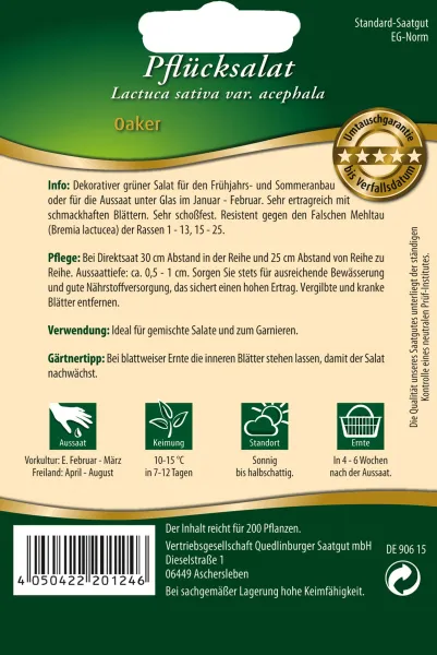 Quedlinburger Pflücksalat Oaker - Premium Gemüsesamen