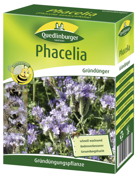 Quedlinburger Gründünger Bienenfreund Phacelia für ca. 75 m² 300 g  - Faltschachtel