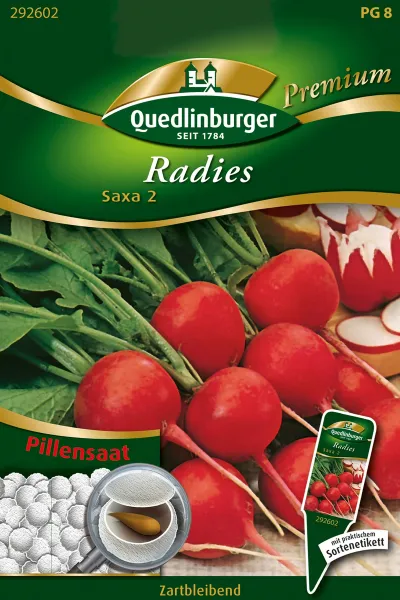 Quedlinburger Radies Saxa 2 Pillensaat - Gemüsesamen