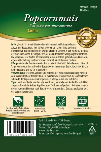 Quedlinburger Popcornmais Jantár - Gemüsesamen