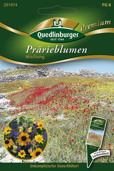 Quedlinburger Prärieblumen Mischung - Blumensamen