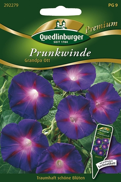 Quedlinburger Prunkwinde Grandpa Ott - Blumensamen