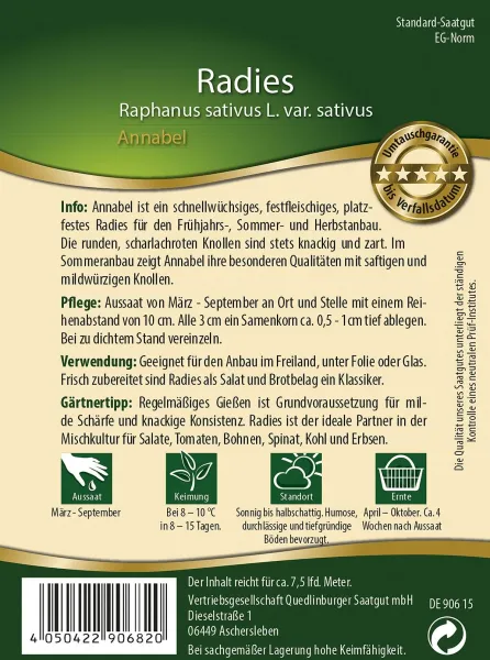 Quedlinburger Radies Annabel - Gemüsesamen