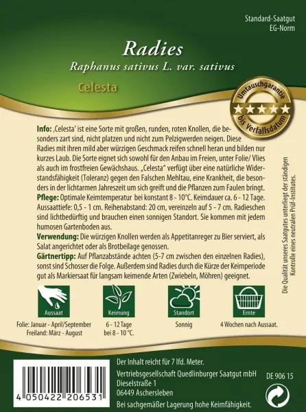 Quedlinburger Radies Celesta - Gemüsesamen