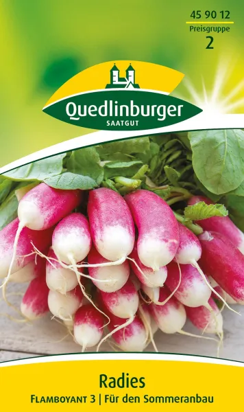 Quedlinburger Radies Flamboyant 2 - Gemüsesamen