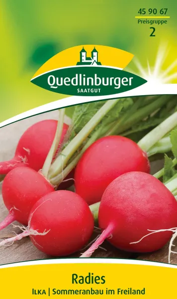 Quedlinburger Radies Ilka - Gemüsesamen