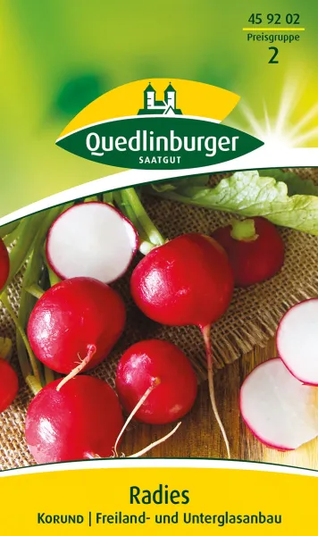 Quedlinburger Radies Korund - Gemüsesamen