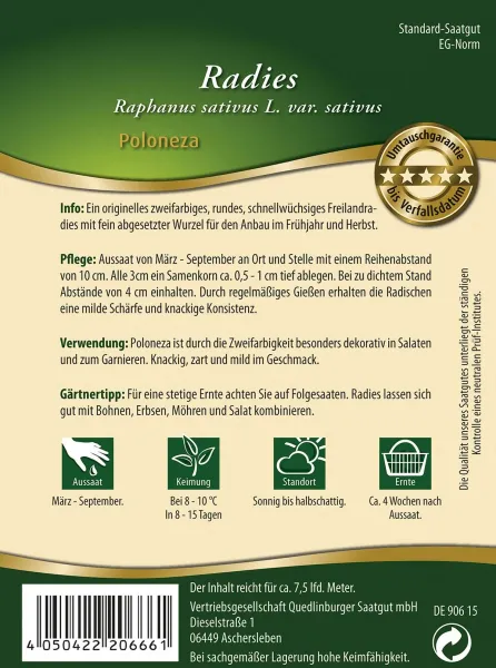 Quedlinburger Radies Poloneza - Gemüsesamen