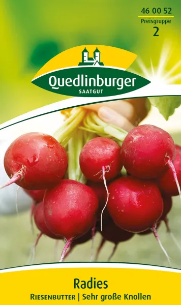 Quedlinburger Radies Riesenbutter - Gemüsesamen