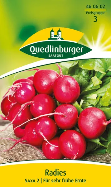 Quedlinburger Radies Saxa 2 - Gemüsesamen