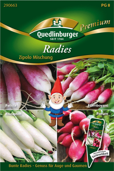 Quedlinburger Radies Zipolo Mischung - Gemüsesamen
